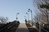 일산보안등