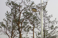 별내면 주민센터 LED 60W