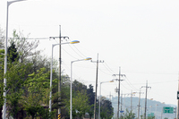군산동고 입구구간