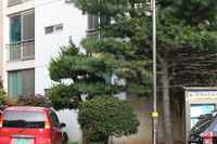 여수원앙맨션아파트60w led보안등 설치